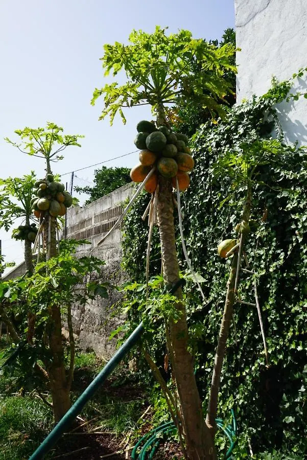 Alpesi faház Casa Rural En Tenerife Villa Güimar
