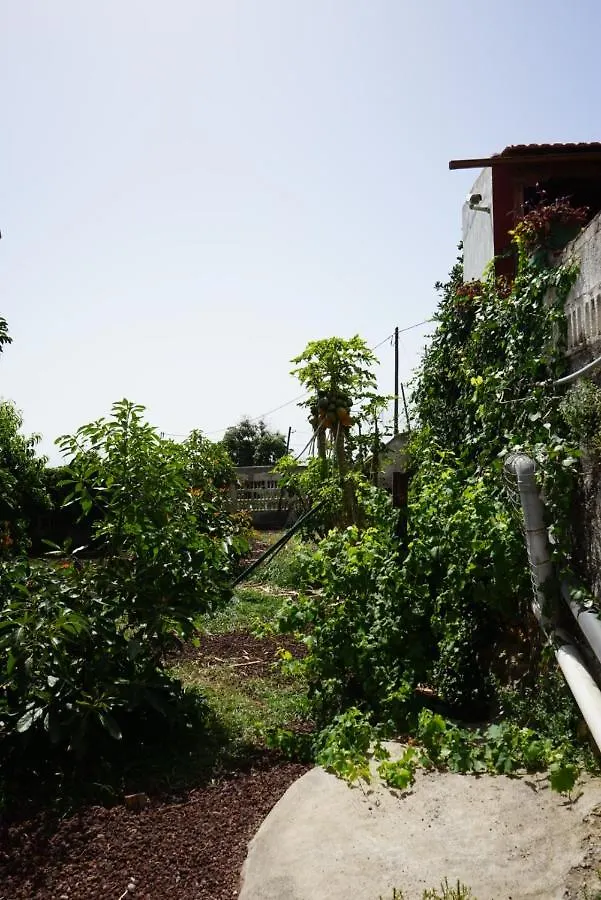 Casa Rural En Tenerife Villa Güimar 0*,