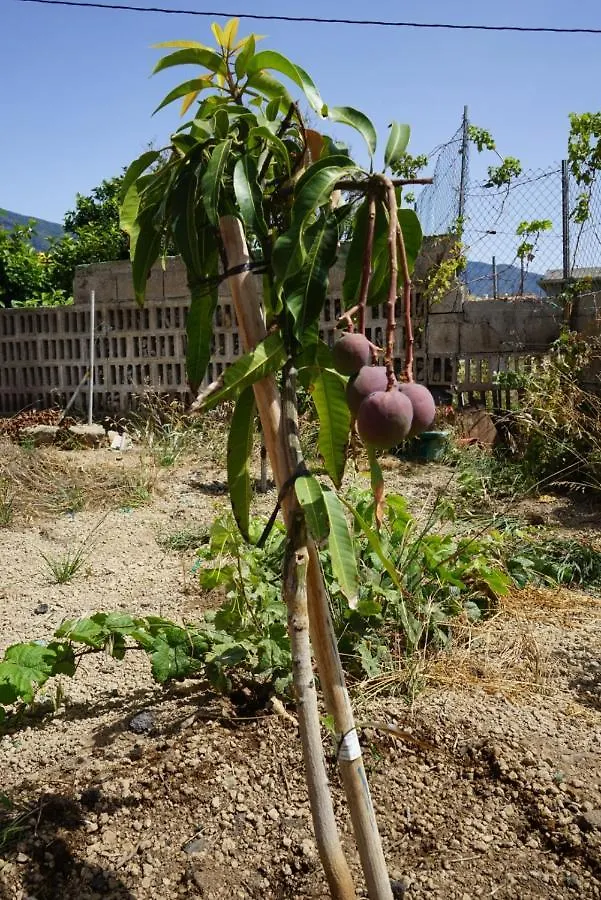 Casa Rural En Tenerife Villa Güimar